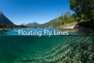 Floating Fly Lines